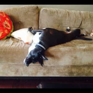 Meet your Posher, Kendall